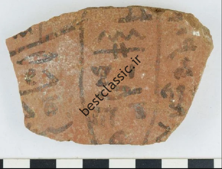 (عکس) درباره گروه «دفترهای یادداشت» در مصر بیشتر بدانید!