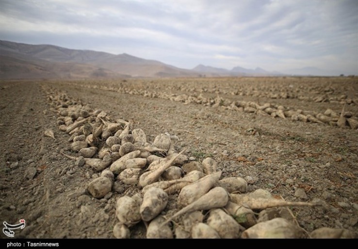 خرید پرینتر